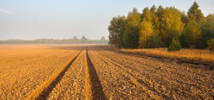 Gleboznawcza klasyfikacja gruntów