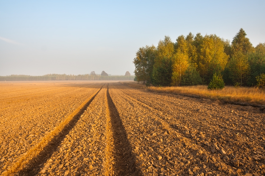 Klasyfikacja gruntów